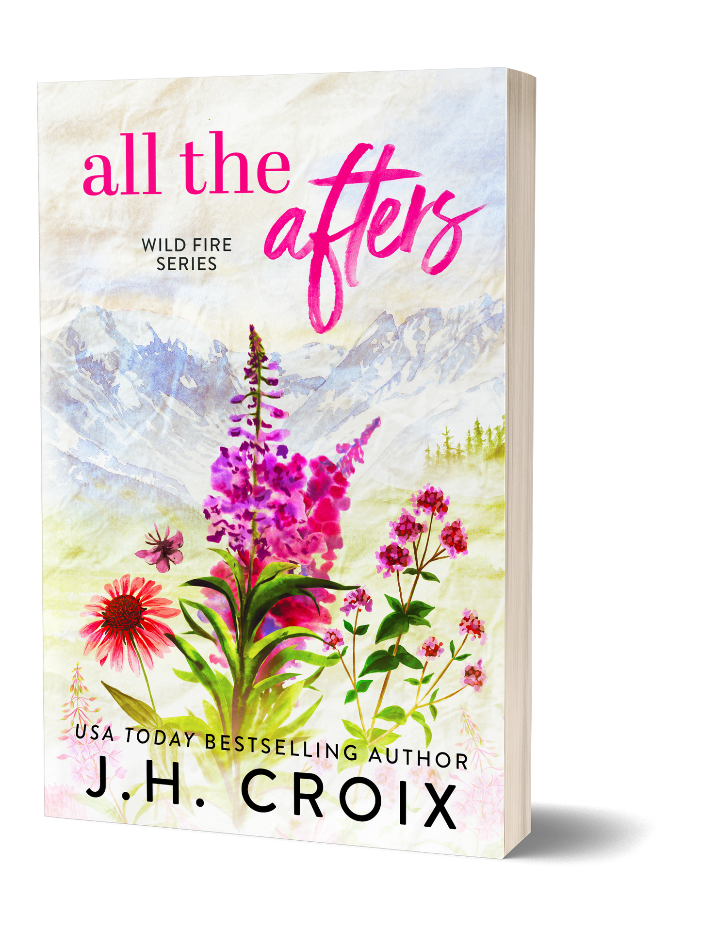 All The Afters (Wild Fire Series Book 1): Small town he falls first firefighter workplace romance