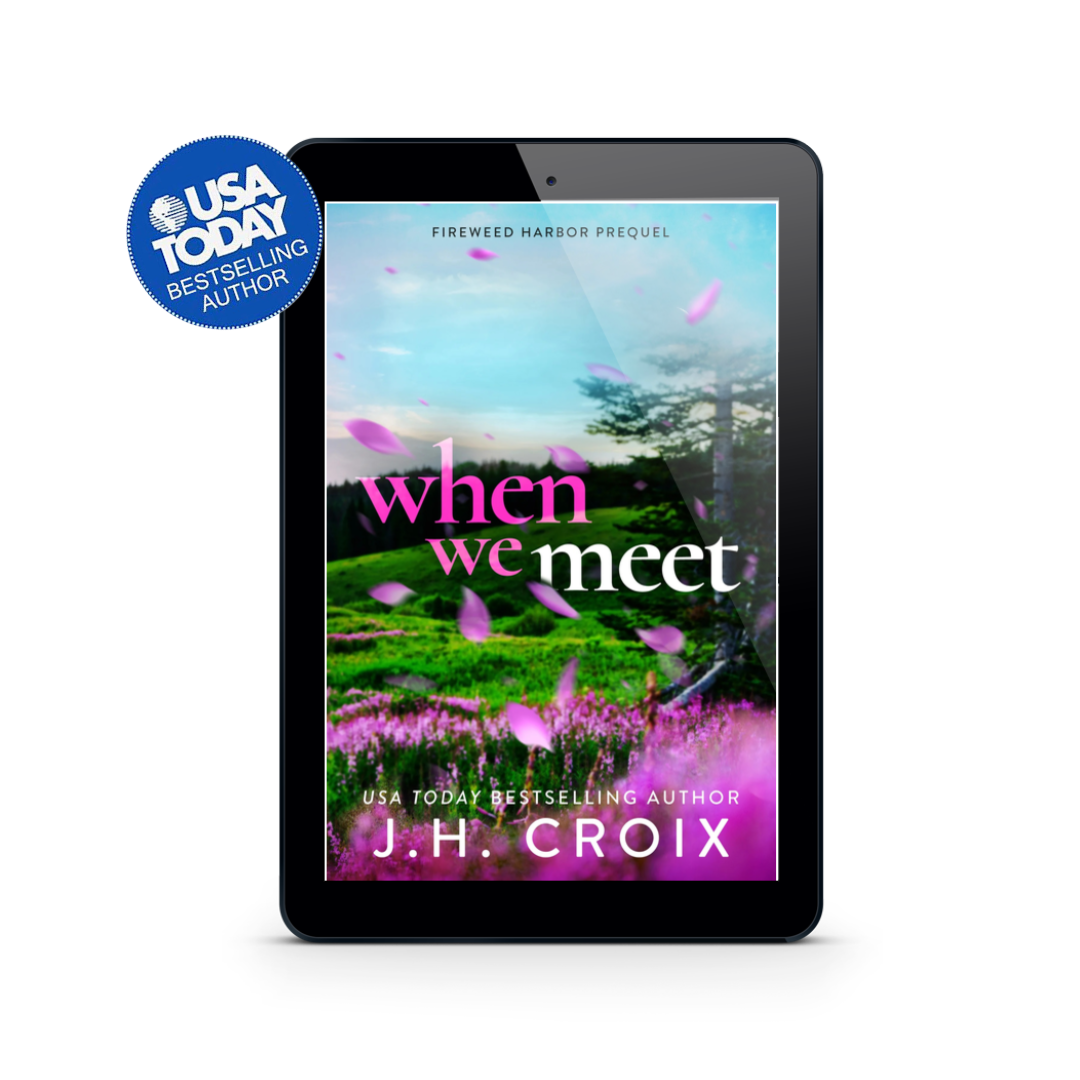 When We Meet (Fireweed Harbor Series Prequel): A friends to lovers, brother's best friend, small town romance