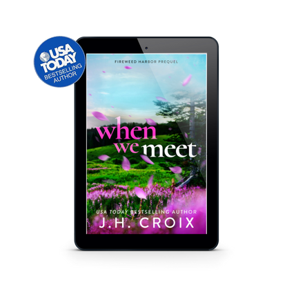 When We Meet (Fireweed Harbor Series Prequel): A friends to lovers, brother's best friend, small town romance